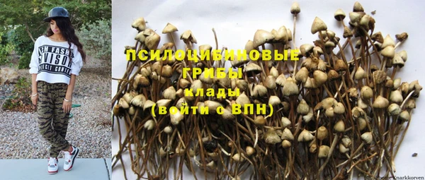 твердый Липки