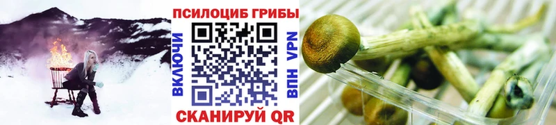 Псилоцибиновые грибы ЛСД  Купить закладки  Елабуга 